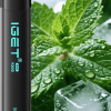 Mint Ice