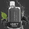 Blackberry Ice