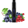 Blueberry Berries Blackcurrant