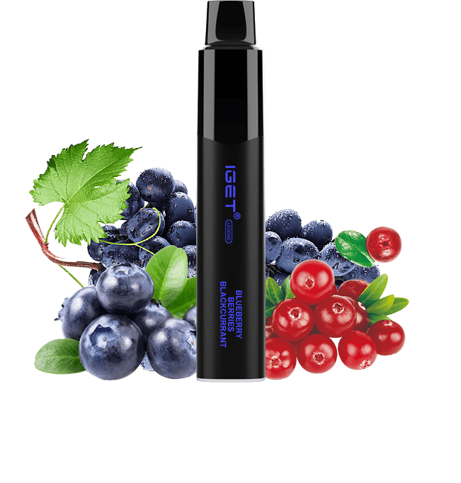 Blueberry Berries Blackcurrant
