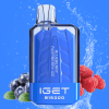 Blueberry Raspberry Ice