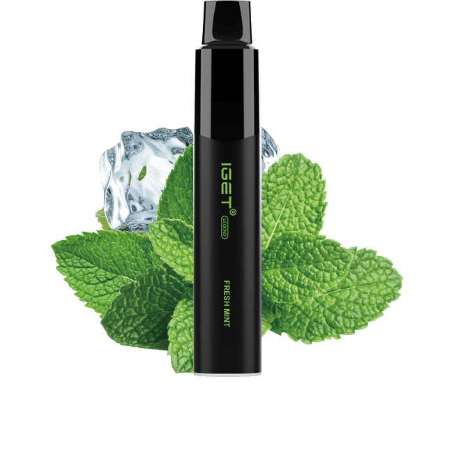 Fresh Mint