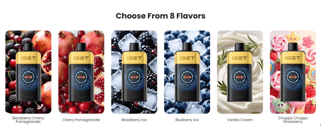 IGET FALCON, IGET FALCON Australia, IGET FALCON 25000, Buy IGET FALCON, IGET Disposable Vape, IGET Vape 25000 Puff Vape, Dual Mesh Coil Rechargeable Vape, Premium Vape, Authentic IGET, Australian Vape Store