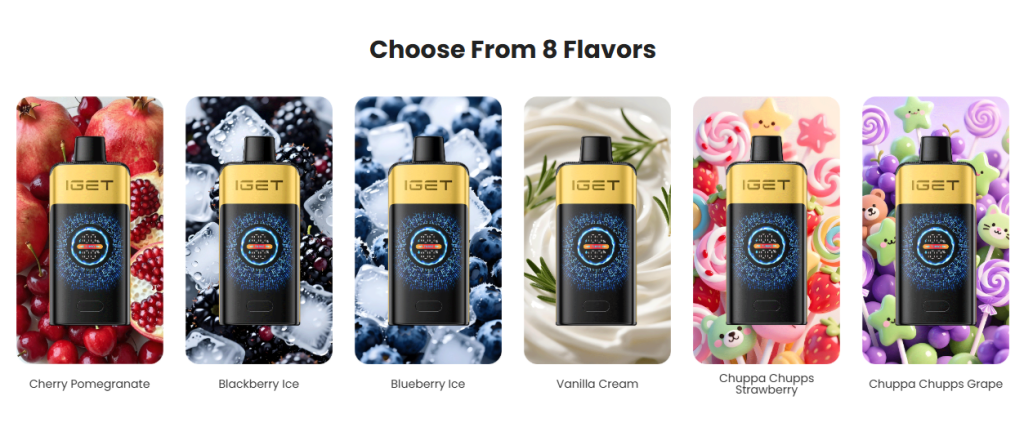 IGET FALCON, IGET FALCON Australia, IGET FALCON 25000, Buy IGET FALCON, IGET Disposable Vape, IGET Vape 25000 Puff Vape, Dual Mesh Coil Rechargeable Vape, Premium Vape, Authentic IGET, Australian Vape Store