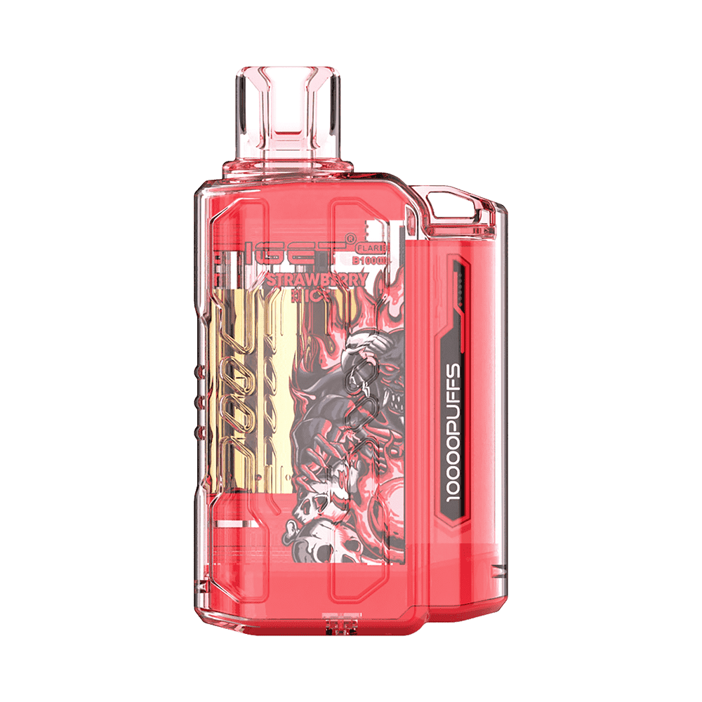 IGET FLARE B10000 (10000 PUFFS)