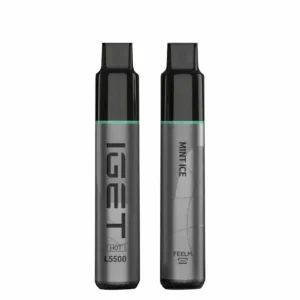 IGET HOT Mint Ice 5500 Puffs Disposable Vape