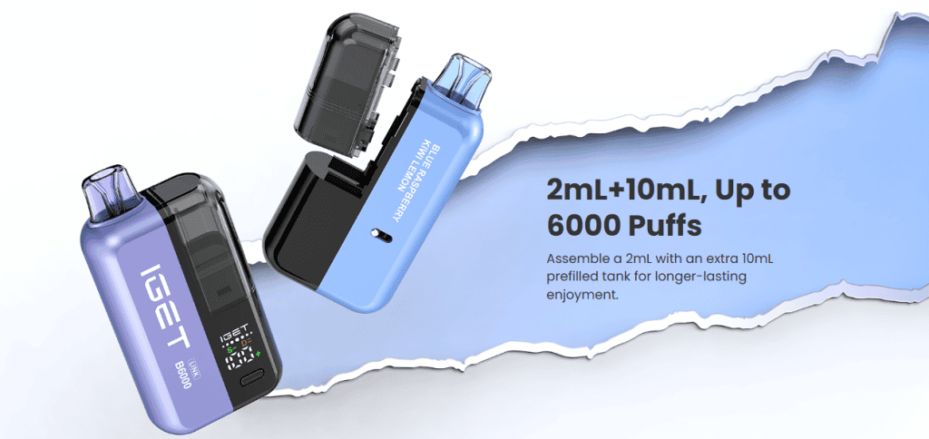 LINK 6000 Puffs