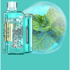 Mountain Spring Mint